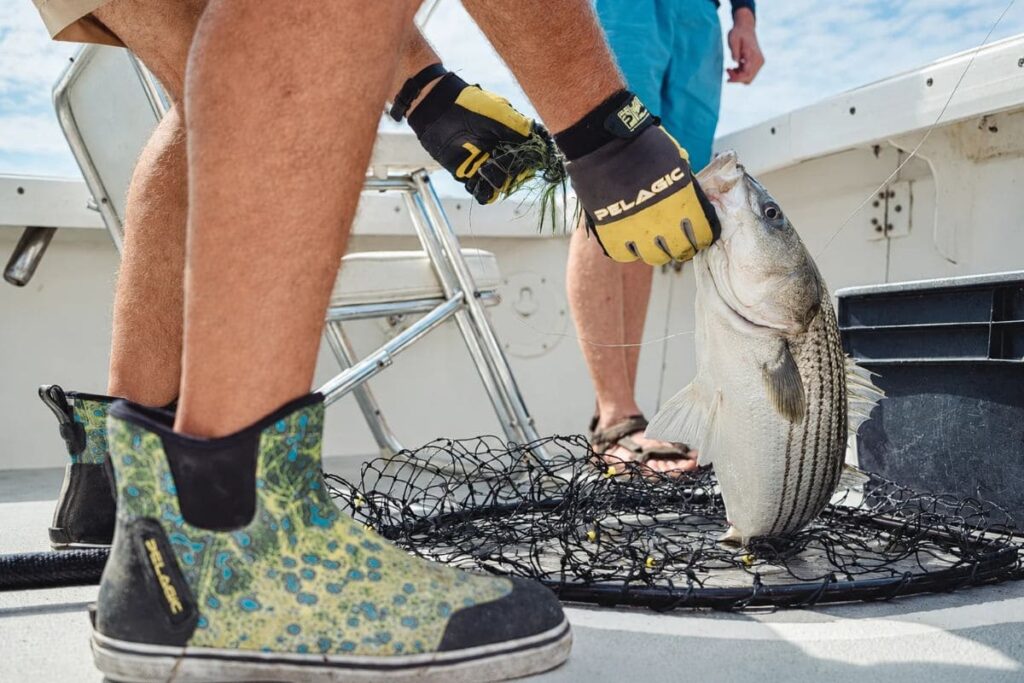 Deck Shoes for Fishing
