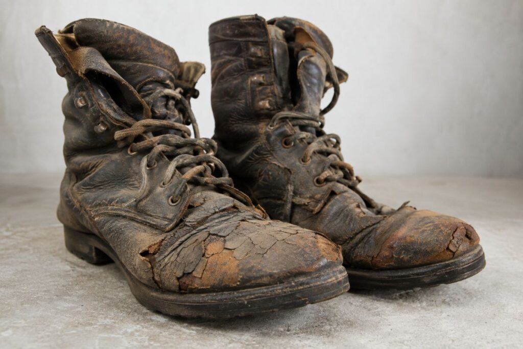 dry rot in leather shoes